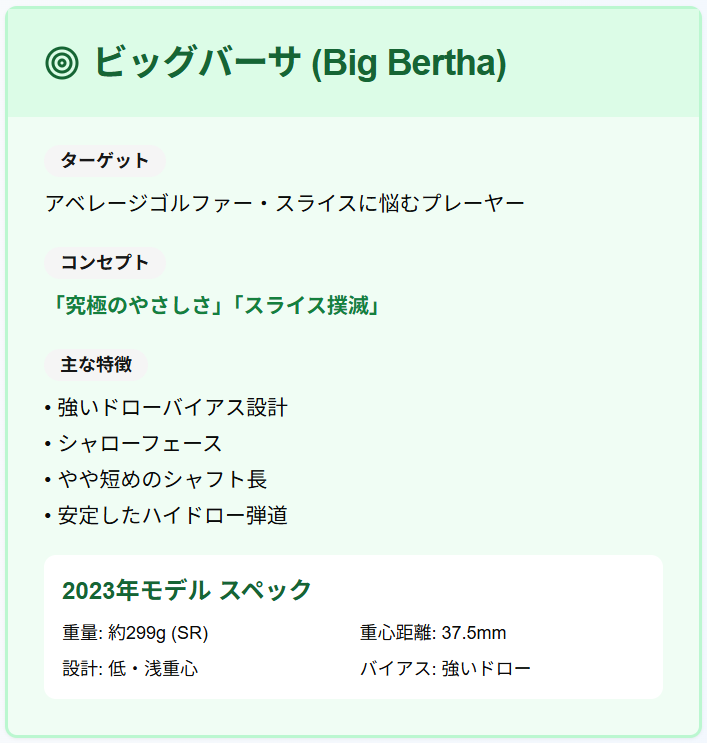 ビックバーサ