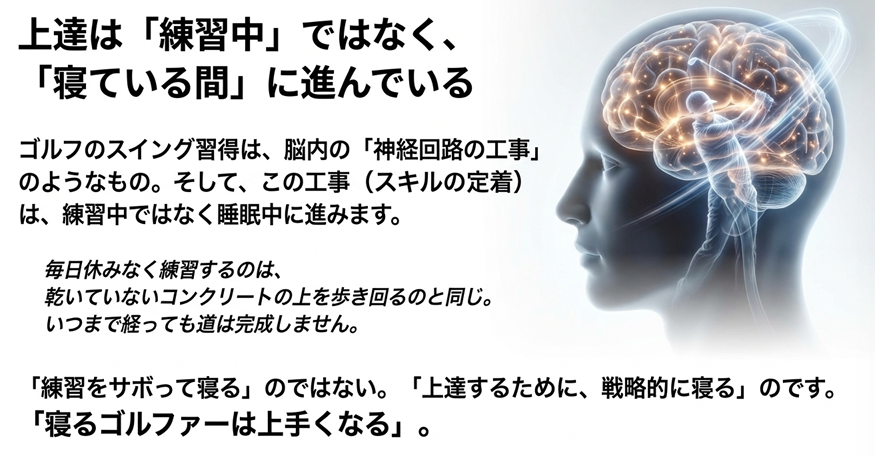 上達は練習中ではなく寝ている間に進んでいる。神経回路の工事